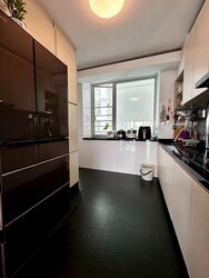 Blk 275A Natura Loft (Bishan), HDB 5 Rooms #503344881